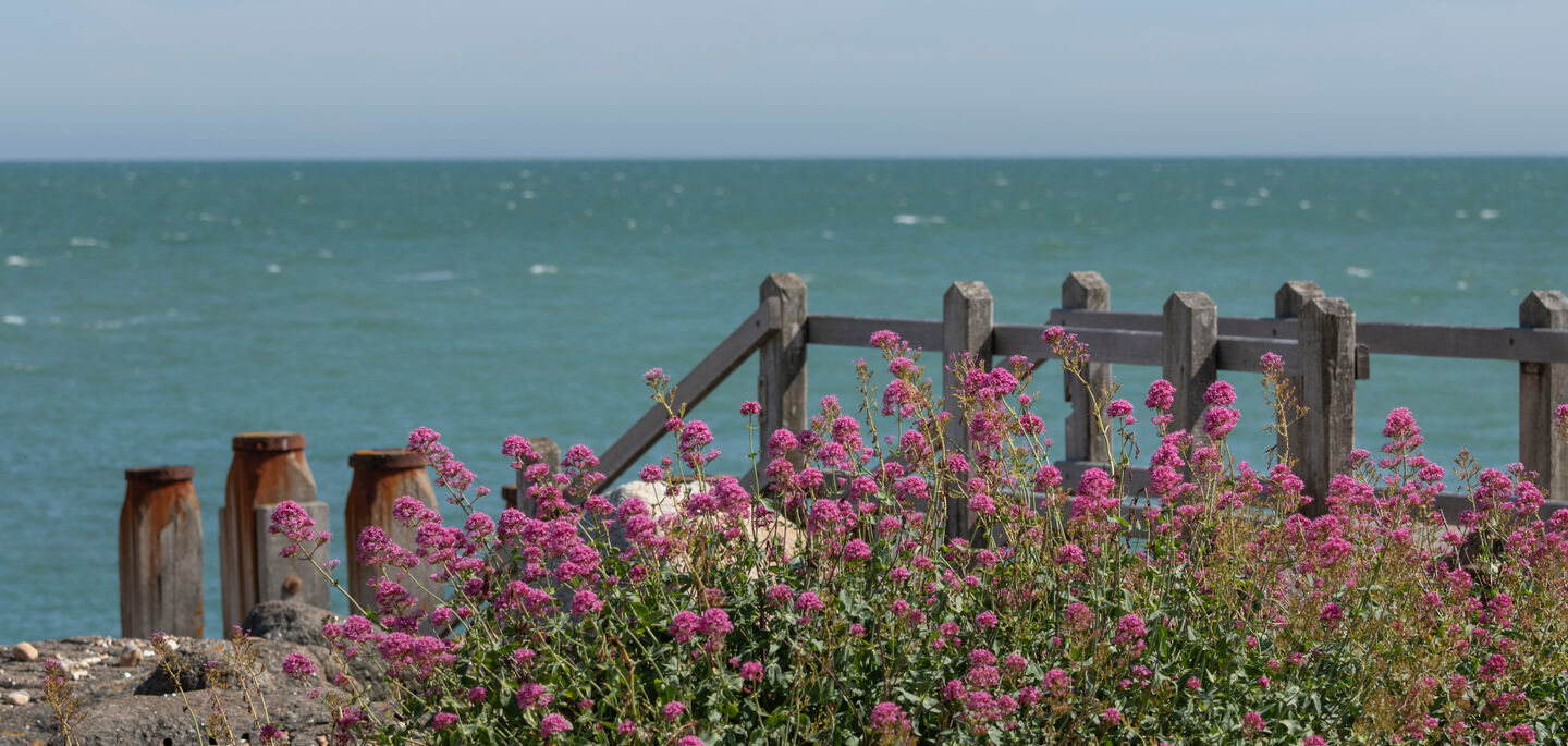 Eastbourne 2023 114 NW Banner Without Weather 1920X685